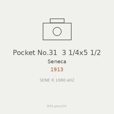 Pocket No.31  3 1/4x5 1/2
