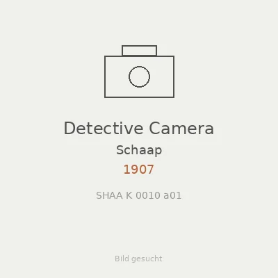 Detective Camera