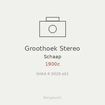 Groothoek Stereo