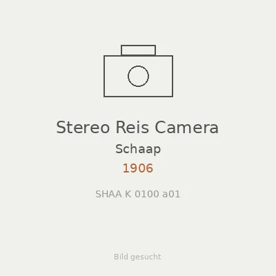 Stereo Reis Camera