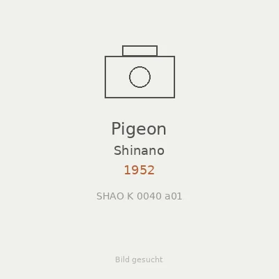 Pigeon
