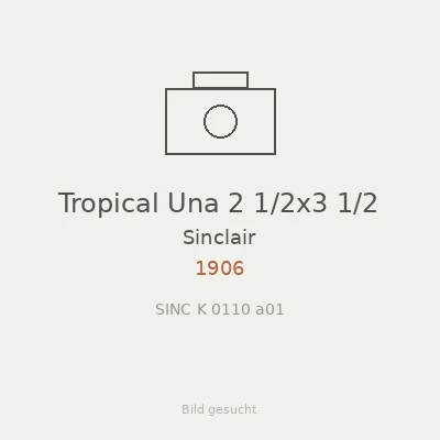 Tropical Una 2 1/2x3 1/2