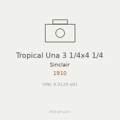 Tropical Una 3 1/4x4 1/4
