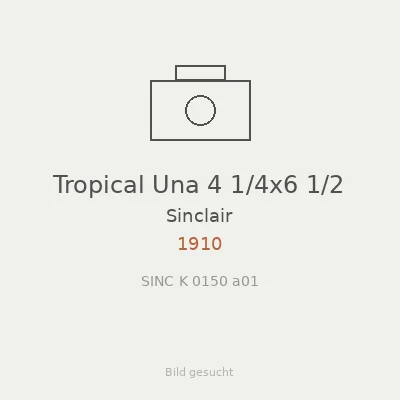 Tropical Una 4 1/4x6 1/2