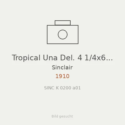 Tropical Una Del. 4 1/4x6 1/2