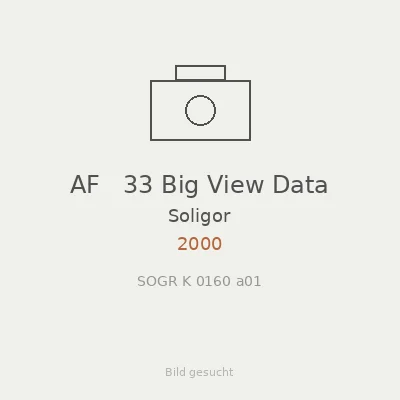 AF   33 Big View Data