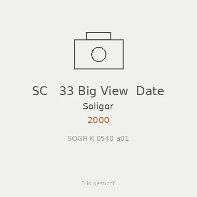 SC   33 Big View  Date
