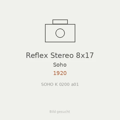 Reflex Stereo 8x17