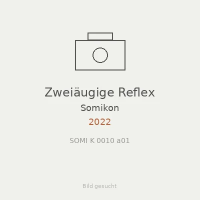 Zweiäugige Reflex