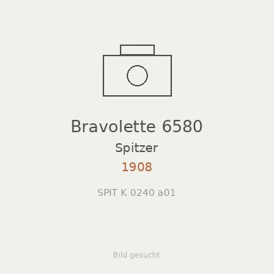 Bravolette 6580