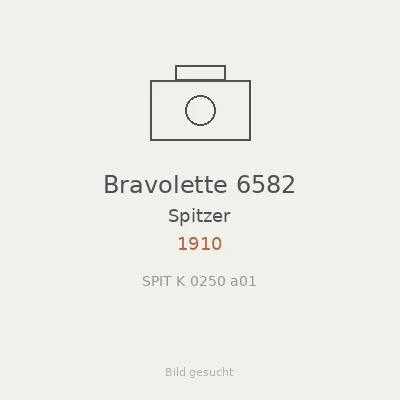 Bravolette 6582