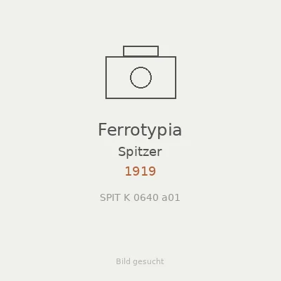 Ferrotypia