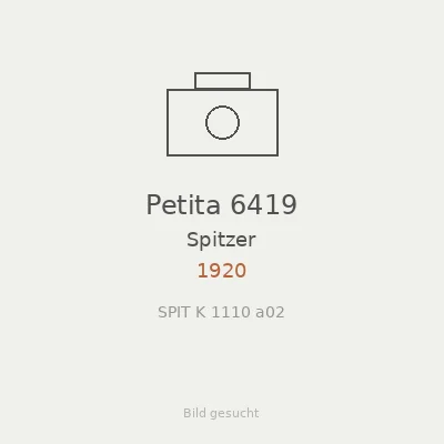 Petita 6419