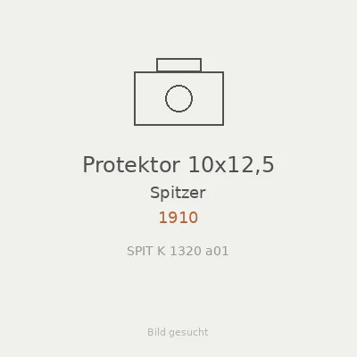 Protektor 10x12,5