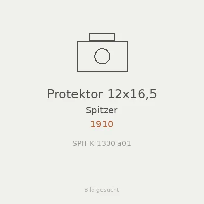 Protektor 12x16,5