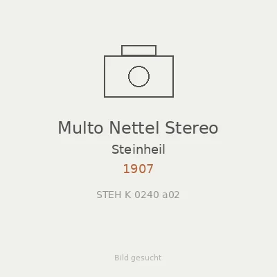 Multo Nettel Stereo