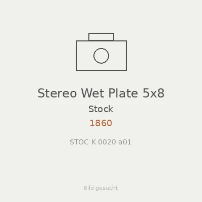 Stereo Wet Plate 5x8