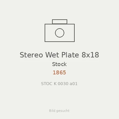 Stereo Wet Plate 8x18
