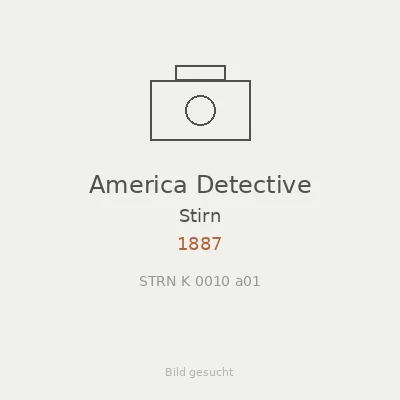 America Detective