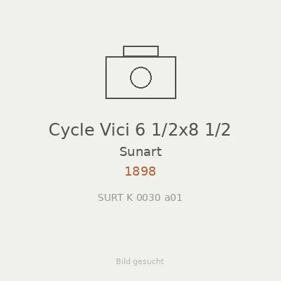 Cycle Vici 6 1/2x8 1/2