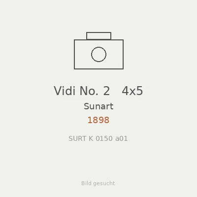 Vidi No. 2   4x5