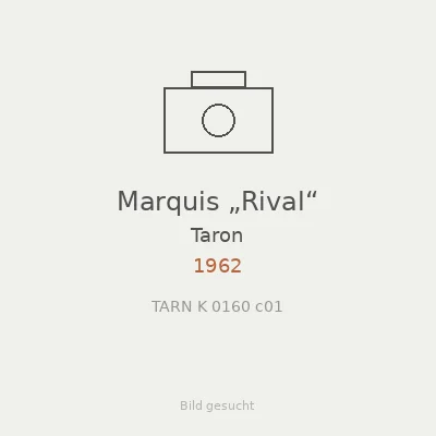Marquis „Rival“