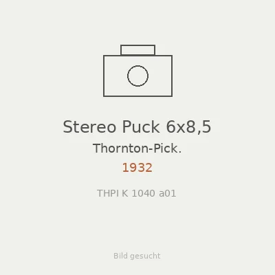 Stereo Puck 6x8,5