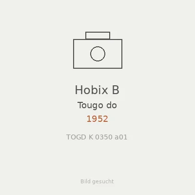 Hobix B