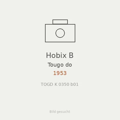 Hobix B