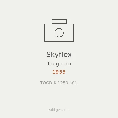 Skyflex