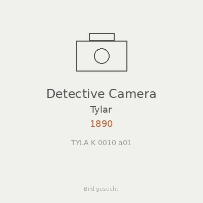 Detective Camera