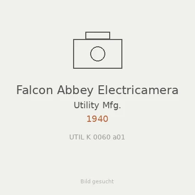 Falcon Abbey Electricamera