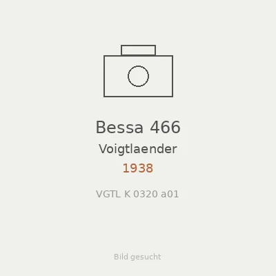 Bessa 466