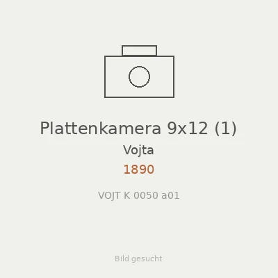 Plattenkamera 9x12 (1)