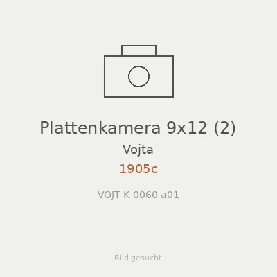 Plattenkamera 9x12 (2)