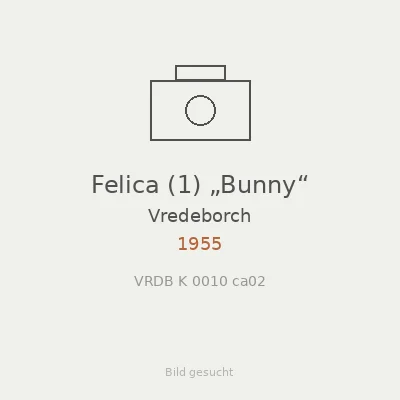 Felica (1) „Bunny“