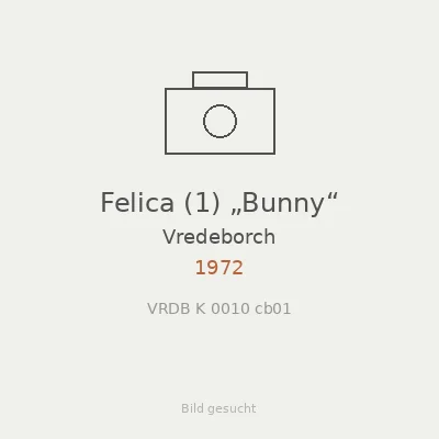 Felica (1) „Bunny“
