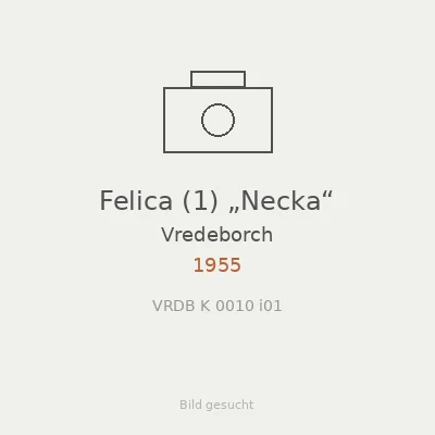 Felica (1) „Necka“
