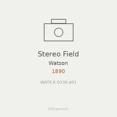 Stereo Field