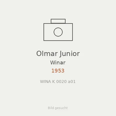Olmar Junior