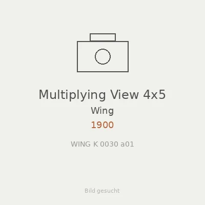 Multiplying View 4x5