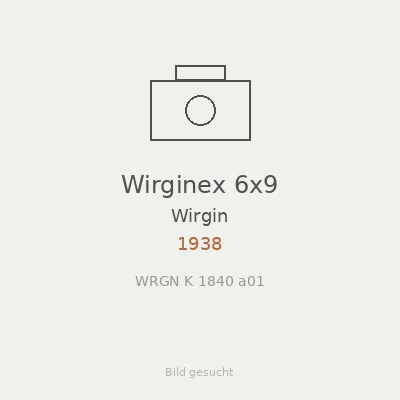 Wirginex 6x9