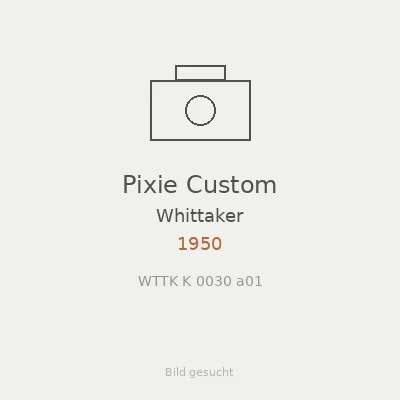 Pixie Custom