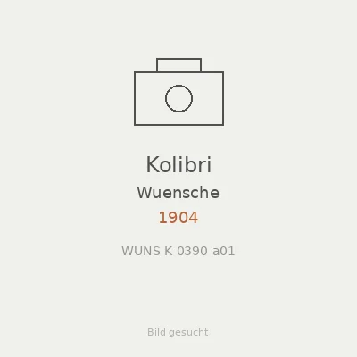 Kolibri