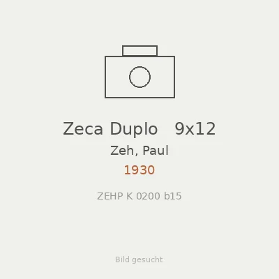 Zeca Duplo   9x12
