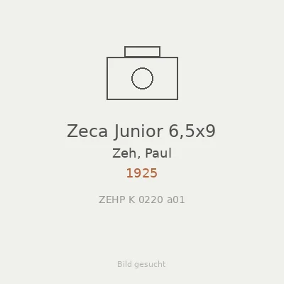 Zeca Junior 6,5x9