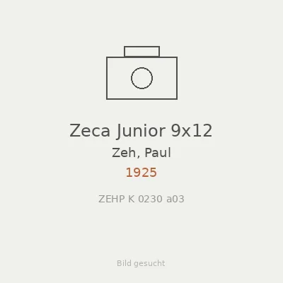 Zeca Junior 9x12