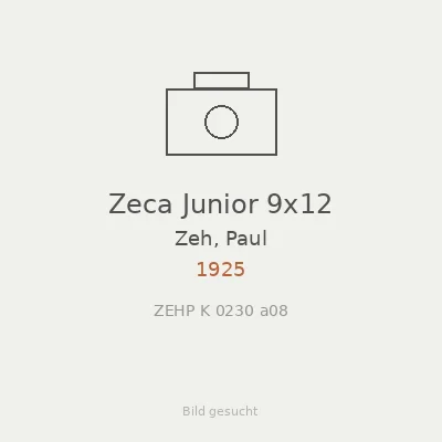 Zeca Junior 9x12