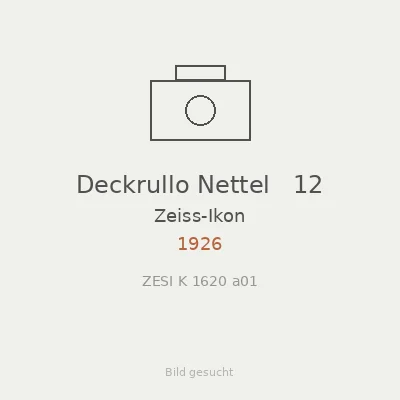 Deckrullo Nettel   12
