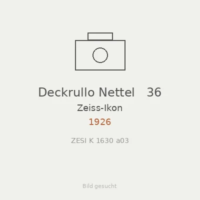 Deckrullo Nettel   36